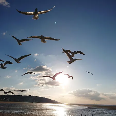 Les Pieds Dans Le Sable, 4 Pers- Wifi & Parking Apartamento *