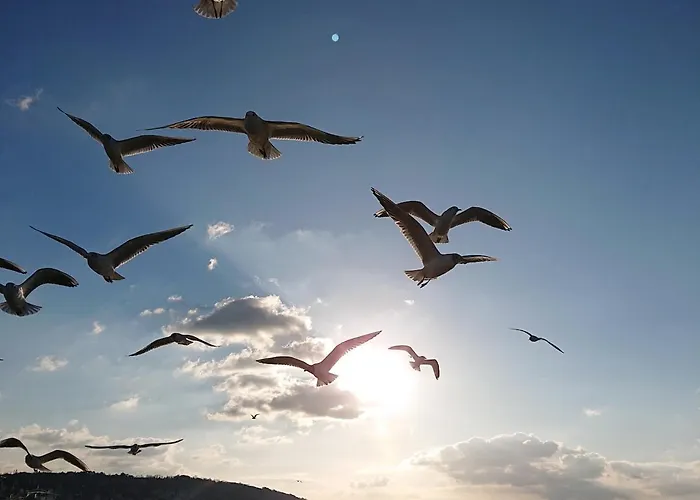 Les Pieds Dans Le Sable, 4 Pers- Wifi & Parking Appartamento *